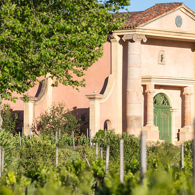 Domaine Bertaud Belieu Vins Côtes De Provence à Saint Tropez